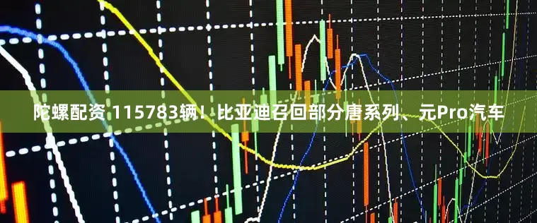 陀螺配资 115783辆！比亚迪召回部分唐系列、元Pro汽车